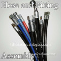 Hose and Fitting Assembly